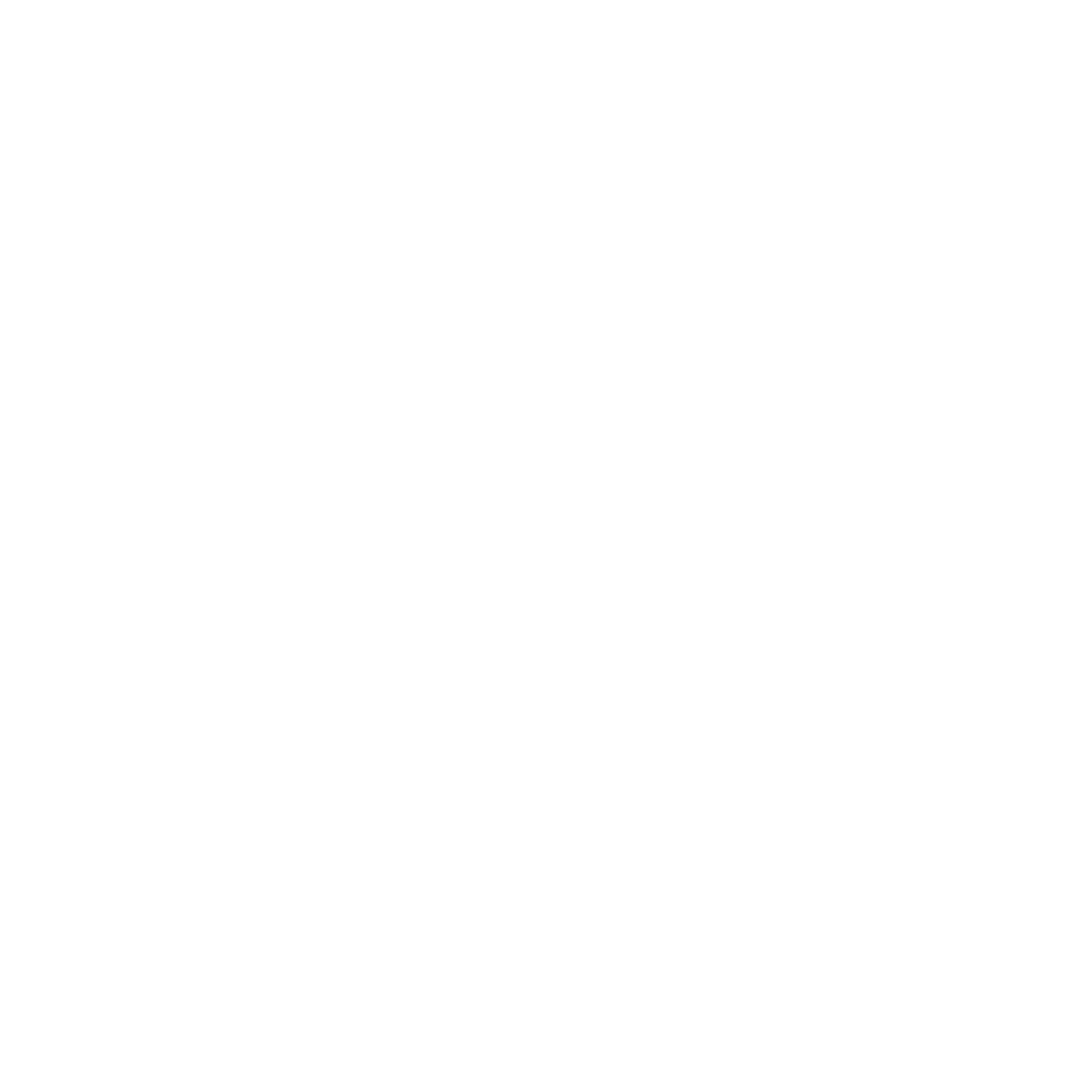 Logo HoliHuman blanc